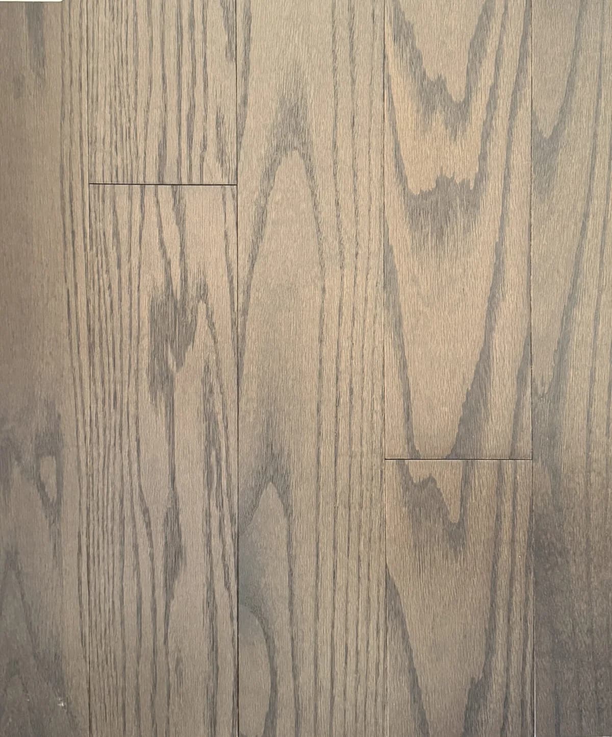 Cardinal - Red Oak - Impressive Solid Hardwood Flooring | BBS Flooring Markham