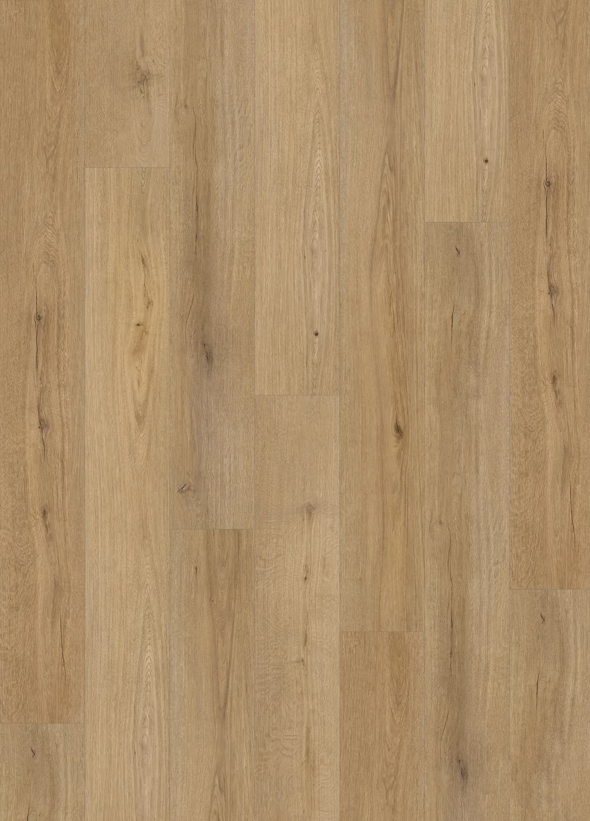 BBS Flooring Countryside Elm - 22mil Wear Layer - 7mm Vinyl Flooring with Pad premium vinyl in Markham, Toronto, and Durham