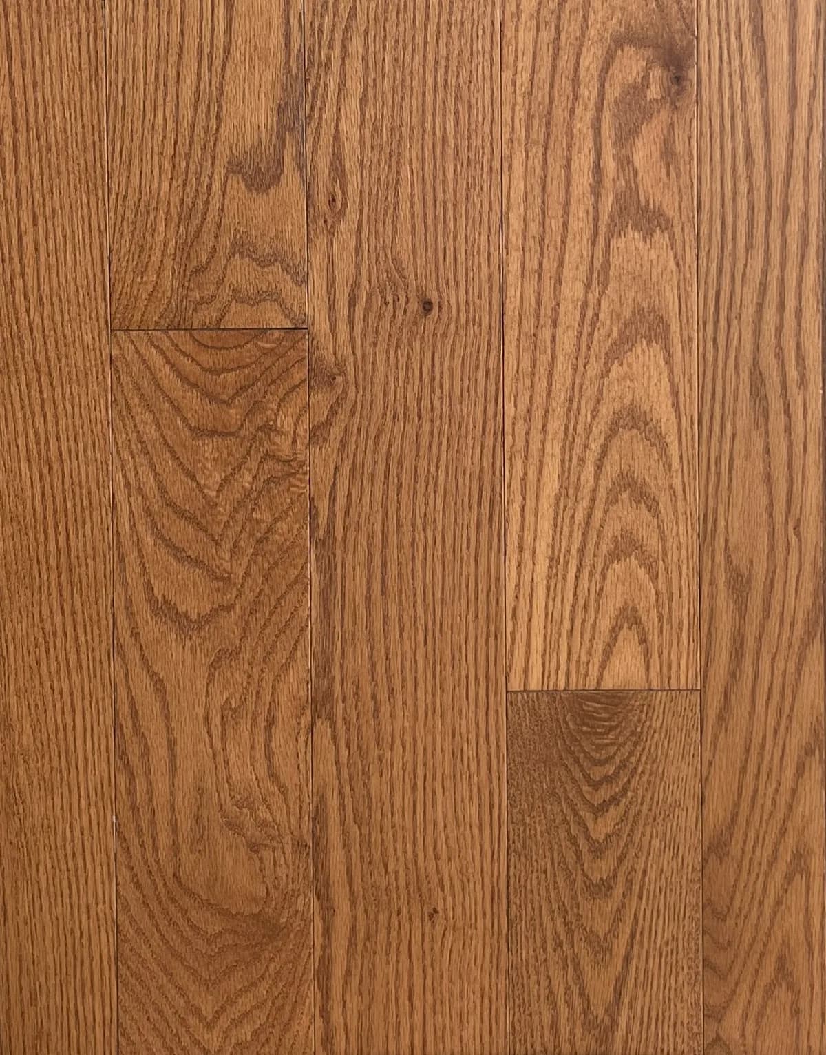 Olympus - Red Oak - Impressive Solid Hardwood Flooring | BBS Flooring Markham