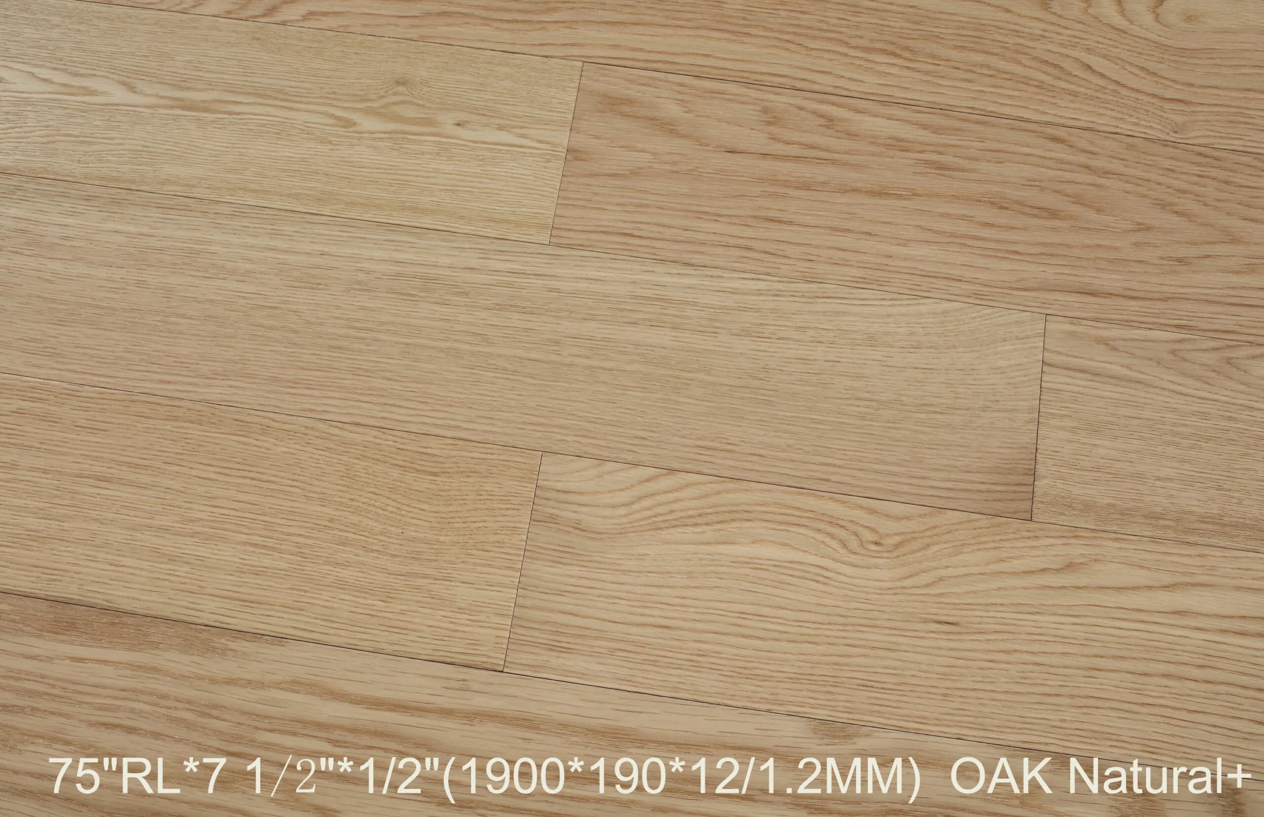 BBS Flooring Simba Natural (AB) - Oak 3/4" Engineered Hardwood (2mm Top Layer) premium engineered hardwood in Markham, Toronto, and Durham