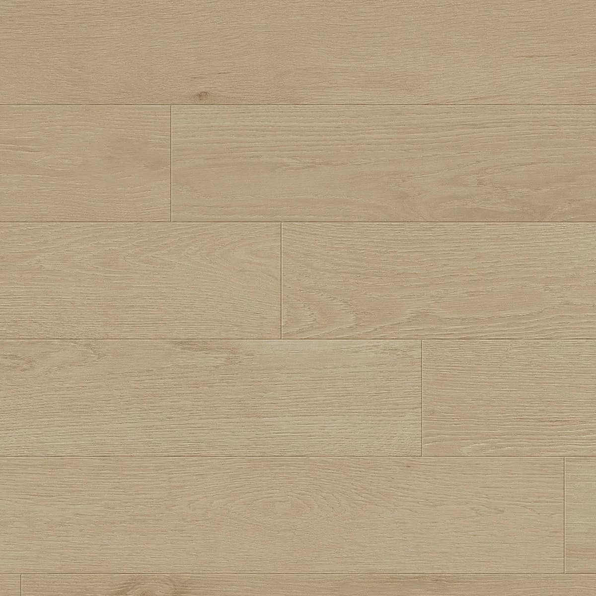 BBS Flooring Studio Collection — Oyster — Triforest TCN101 in Markham, Toronto, Durham