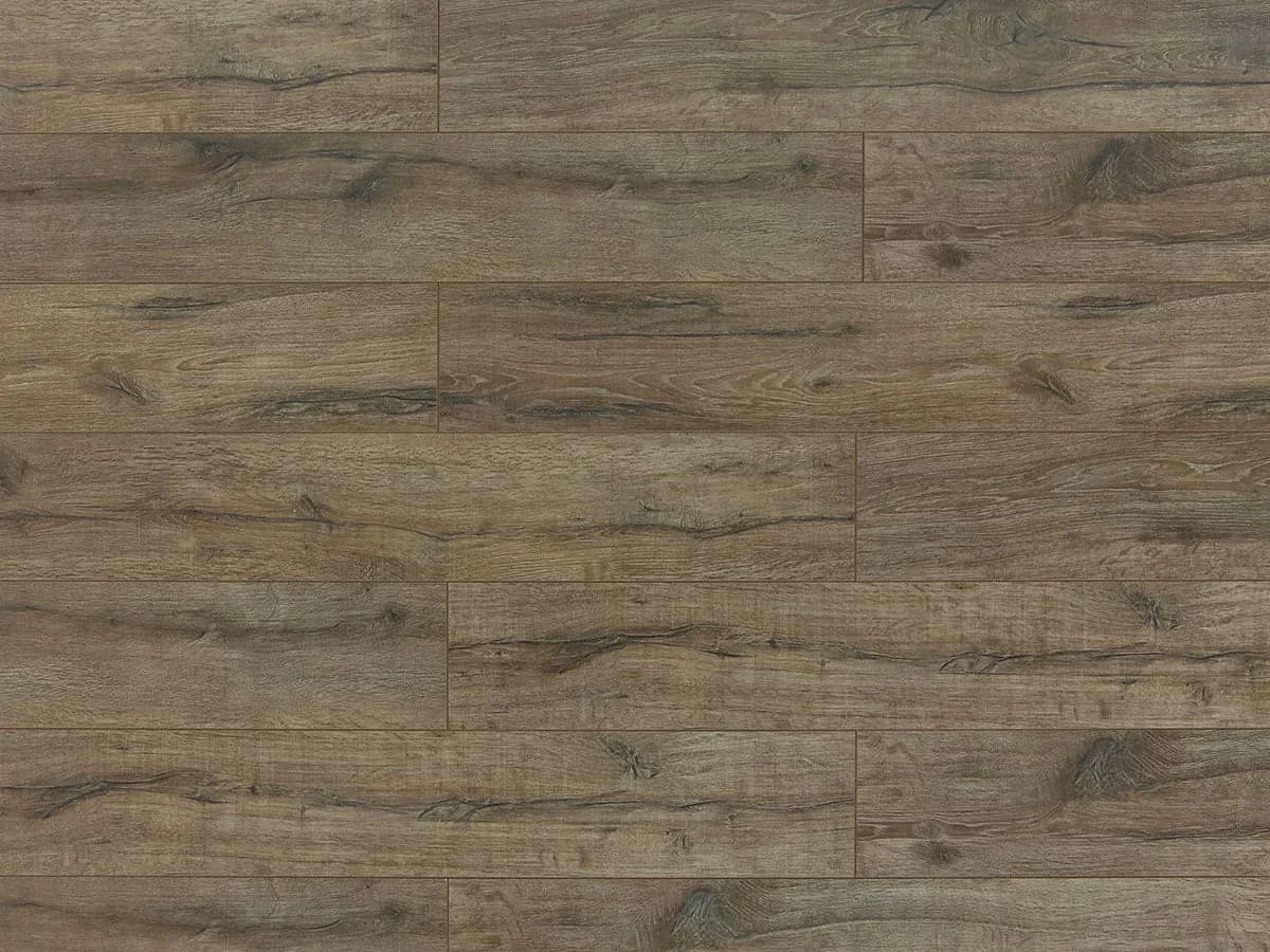 TF 6005 — Ashford — Triforest (Toucan) laminate flooring at BBS Flooring Markham