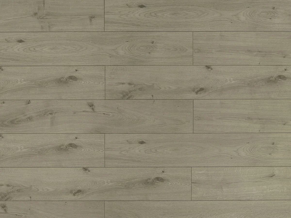 TF 6019 — St. Laurent — Triforest (Toucan) laminate flooring at BBS Flooring Markham