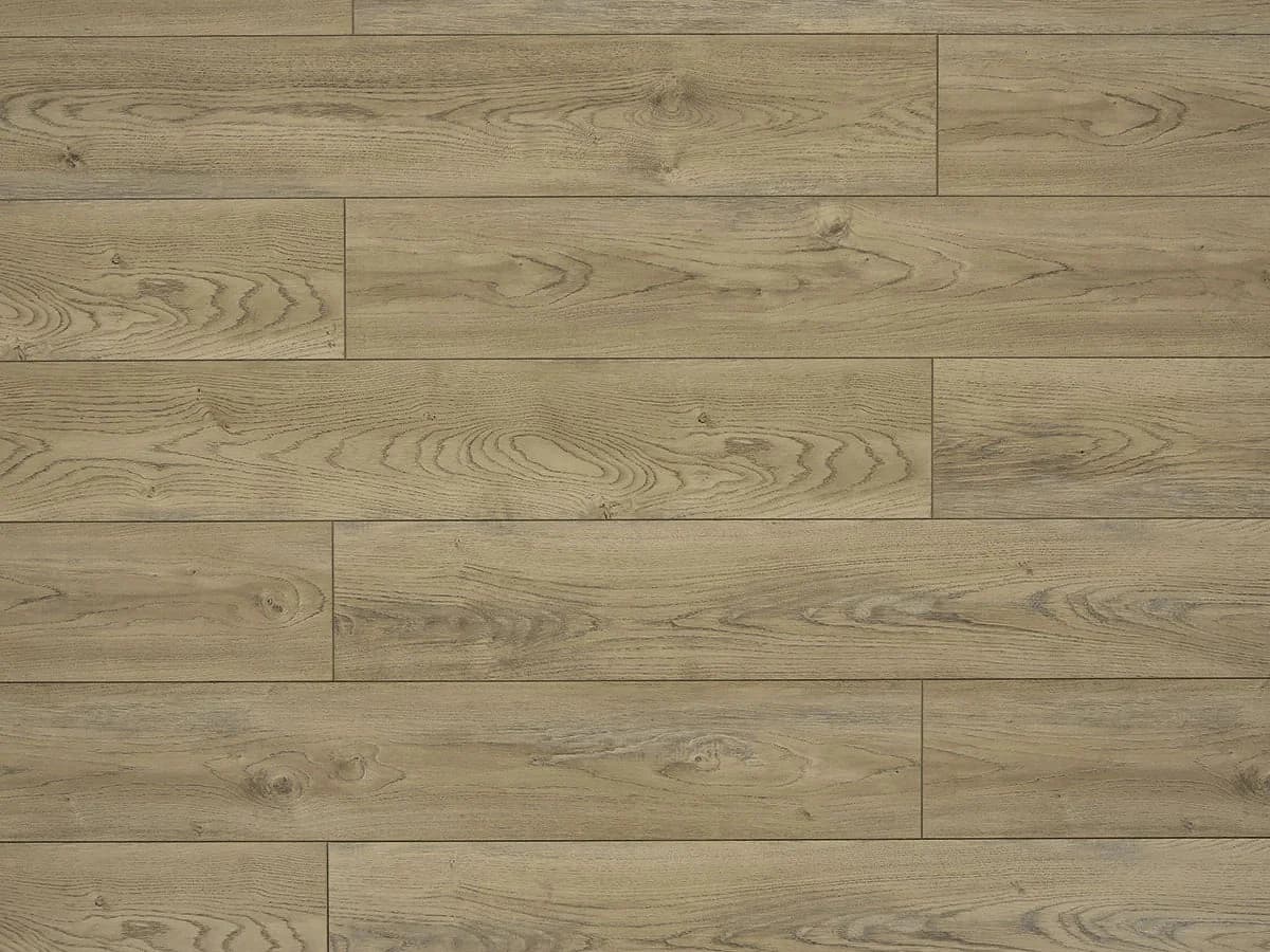 TF 6206 — Macchiato — Triforest (Toucan) laminate flooring at BBS Flooring Markham