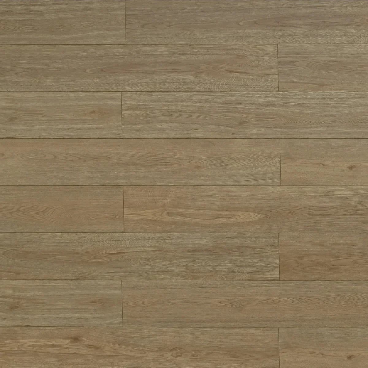 BBS Flooring TF 6610 — Gila — Triforest TF6610 in Markham, Toronto, Durham