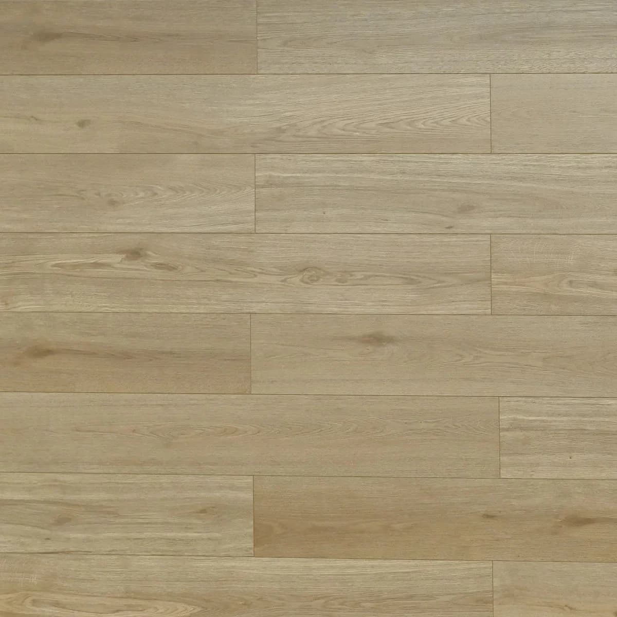 BBS Flooring TF 6612 — Melrose — Triforest TF6612 in Markham, Toronto, Durham