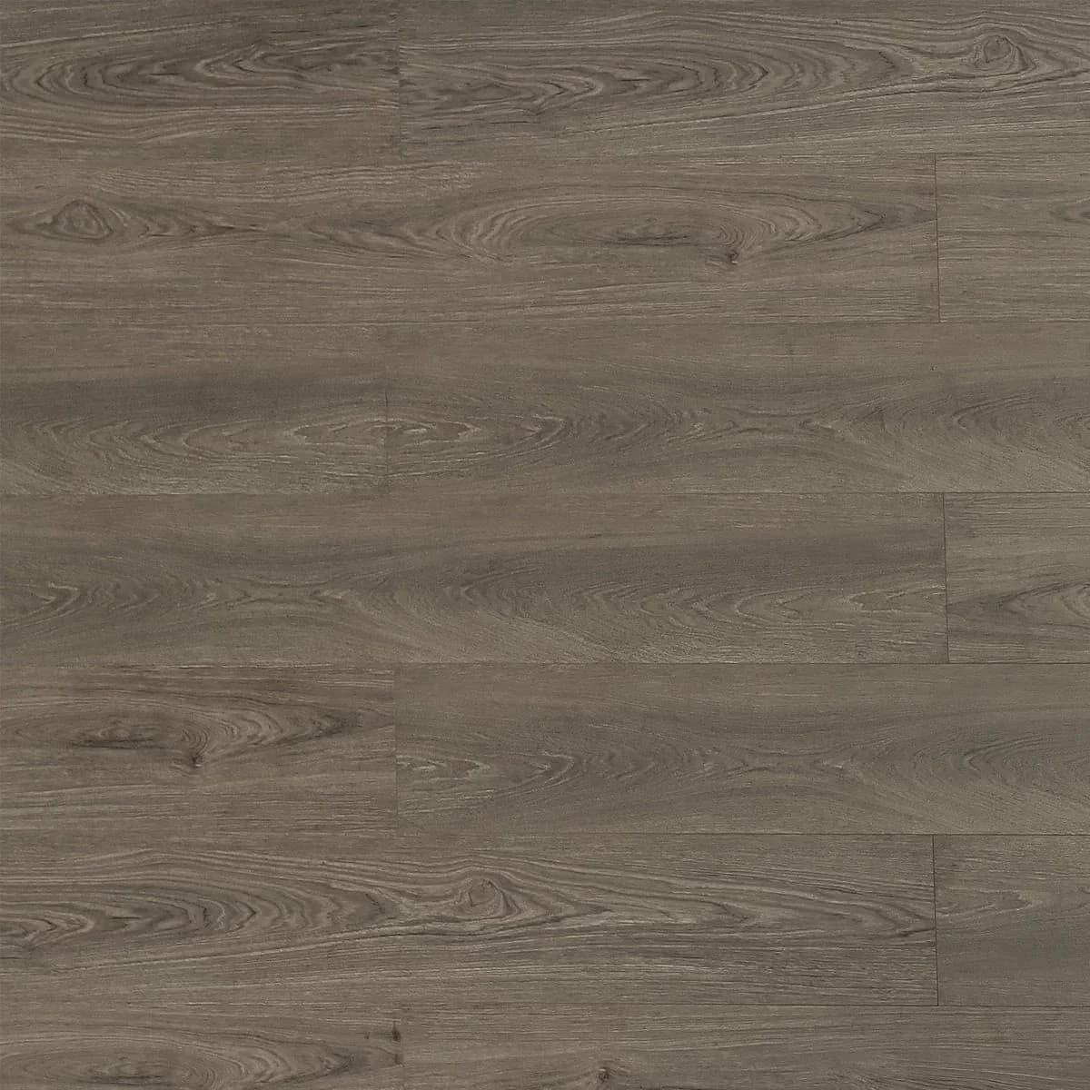 BBS Flooring TF 8302 — Beaver — Triforest TF8302 in Markham, Toronto, Durham