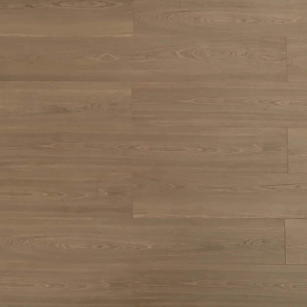 BBS Flooring TF 8309 — Grizzly — Triforest TF8309 in Markham, Toronto, Durham