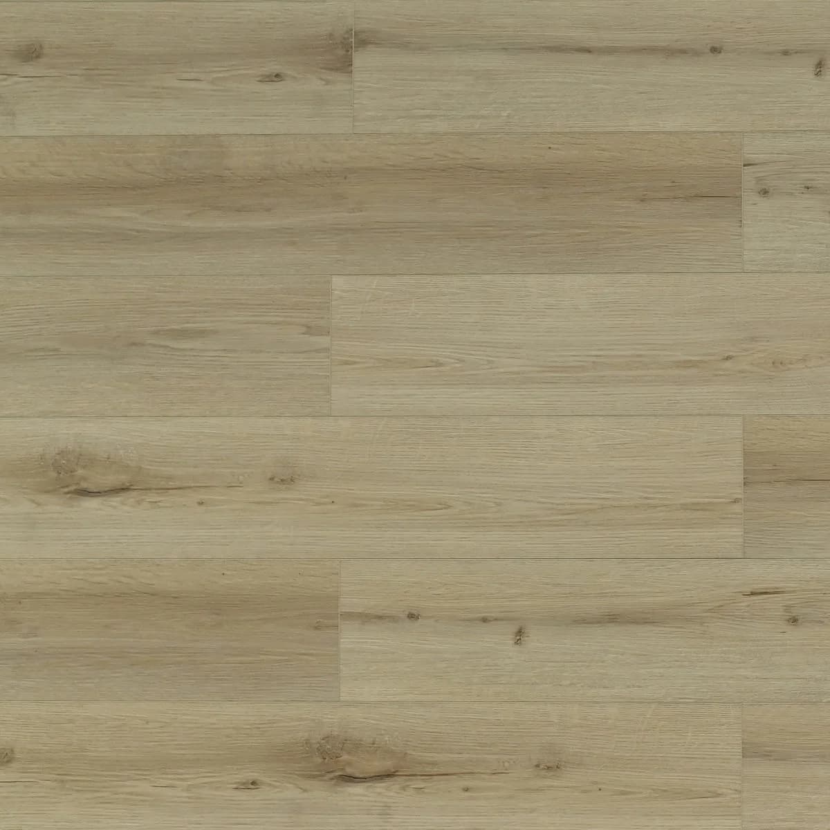 TFL 627 — Honey Birch — Triforest (Toucan) loose lay vinyl plank flooring at BBS Flooring Markham