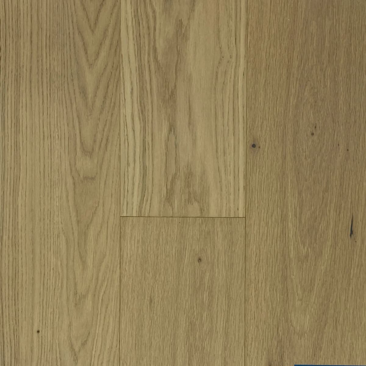 BBS Flooring Woolf - Novella 6 1/2" Engineered American Oak Hardwood Flooring premium engineered hardwood in Markham, Toronto, and Durham